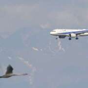 ヒメ日記 2025/11/17 06:46 投稿 千春 桃李（とうり）