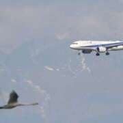 ヒメ日記 2025/11/17 07:04 投稿 千春 桃李（とうり）