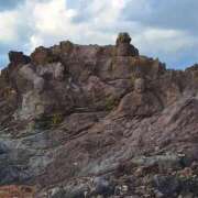 ヒメ日記 2025/11/19 06:40 投稿 千春 桃李（とうり）