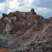 ヒメ日記 2025/11/19 06:54 投稿 千春 桃李（とうり）