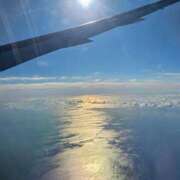 ヒメ日記 2025/11/20 06:54 投稿 千春 桃李（とうり）