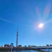 ヒメ日記 2025/11/26 06:42 投稿 千春 桃李（とうり）