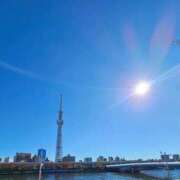 ヒメ日記 2025/11/26 06:54 投稿 千春 桃李（とうり）