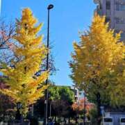 ヒメ日記 2025/11/27 06:39 投稿 千春 桃李（とうり）