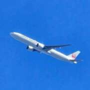 千春 無題 桃李（とうり）