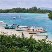 ヒメ日記 2025/12/10 06:47 投稿 千春 桃李（とうり）