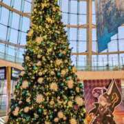 ヒメ日記 2025/12/16 06:46 投稿 千春 桃李（とうり）