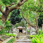 千春 無題 桃李（とうり）