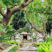 千春 無題 桃李（とうり）