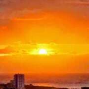 ヒメ日記 2025/12/19 06:47 投稿 千春 桃李（とうり）