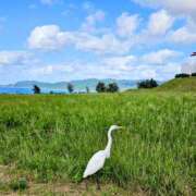 ヒメ日記 2025/12/22 09:45 投稿 千春 桃李（とうり）