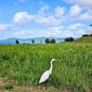 ヒメ日記 2025/12/22 09:54 投稿 千春 桃李（とうり）