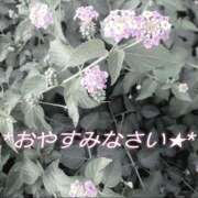 ヒメ日記 2025/01/12 00:08 投稿 まりあ One More奥様　厚木店