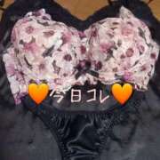 ヒメ日記 2025/02/07 12:19 投稿 まりあ One More奥様　厚木店