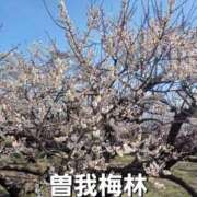 ヒメ日記 2025/02/20 21:58 投稿 まりあ One More奥様　厚木店