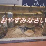 ヒメ日記 2025/03/11 01:46 投稿 まりあ One More奥様　厚木店