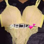 ヒメ日記 2025/04/08 12:20 投稿 まりあ One More奥様　厚木店