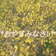 ヒメ日記 2025/04/08 22:28 投稿 まりあ One More奥様　厚木店