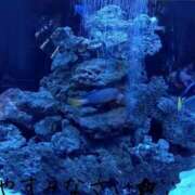 ヒメ日記 2025/04/29 21:38 投稿 まりあ One More奥様　厚木店