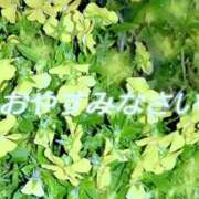 ヒメ日記 2025/06/16 02:28 投稿 まりあ One More奥様　厚木店