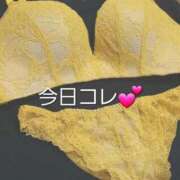 ヒメ日記 2025/12/05 14:57 投稿 まりあ One More奥様　厚木店