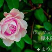まりあ (ღ*ˇᴗˇ*)｡o♡🍀♡ One More奥様　厚木店
