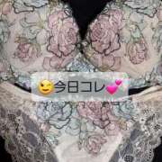 ヒメ日記 2026/08/23 10:13 投稿 まりあ One More奥様　厚木店
