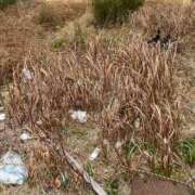 ヒメ日記 2025/02/22 15:21 投稿 じゅりな 人妻デリバリーパコパコママ一宮店