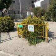 ヒメ日記 2025/02/27 13:09 投稿 じゅりな 人妻デリバリーパコパコママ一宮店