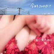 ヒメ日記 2025/03/19 11:42 投稿 愛内　あゆ ソープランド蜜 人妻・美熟女専門店