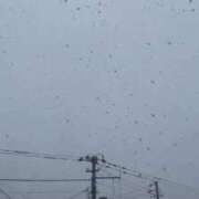 ヒメ日記 2025/03/30 12:06 投稿 愛内　あゆ ソープランド蜜 人妻・美熟女専門店