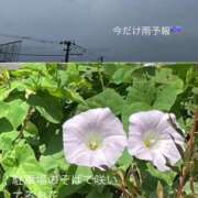 ヒメ日記 2025/07/16 12:04 投稿 愛内　あゆ ソープランド蜜 人妻・美熟女専門店