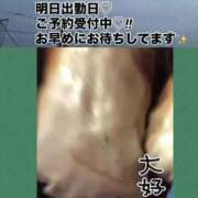 ヒメ日記 2025/08/20 09:32 投稿 愛内　あゆ ソープランド蜜 人妻・美熟女専門店