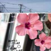 ヒメ日記 2025/09/04 13:42 投稿 愛内　あゆ ソープランド蜜 人妻・美熟女専門店