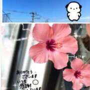 ヒメ日記 2025/09/12 07:52 投稿 愛内　あゆ ソープランド蜜 人妻・美熟女専門店