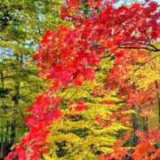 ヒメ日記 2025/10/17 10:43 投稿 愛内　あゆ ソープランド蜜 人妻・美熟女専門店