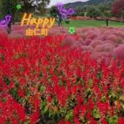 ヒメ日記 2025/10/24 10:22 投稿 愛内　あゆ ソープランド蜜 人妻・美熟女専門店