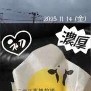 ヒメ日記 2025/11/14 11:02 投稿 愛内　あゆ ソープランド蜜 人妻・美熟女専門店