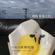 ヒメ日記 2025/11/15 11:02 投稿 愛内　あゆ ソープランド蜜 人妻・美熟女専門店