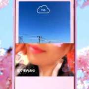 ヒメ日記 2026/04/14 12:42 投稿 愛内　あゆ ソープランド蜜 人妻・美熟女専門店