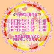 ヒメ日記 2023/11/27 11:04 投稿 ゆきの 池袋角海老