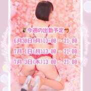 ヒメ日記 2025/06/30 11:33 投稿 ゆきの 池袋角海老