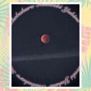 ヒメ日記 2025/09/08 23:53 投稿 ゆきの 池袋角海老