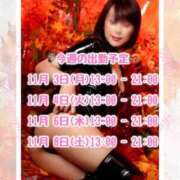 ヒメ日記 2025/11/03 11:23 投稿 ゆきの 池袋角海老