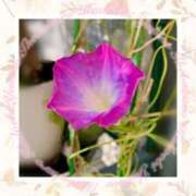 ヒメ日記 2025/11/08 11:03 投稿 ゆきの 池袋角海老