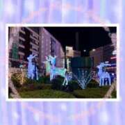 ゆきの 1223❄️なかなか 池袋角海老