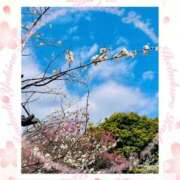 ヒメ日記 2026/03/10 10:53 投稿 ゆきの 池袋角海老