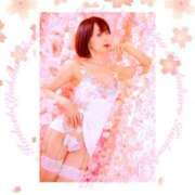 ヒメ日記 2026/03/18 08:13 投稿 ゆきの 池袋角海老