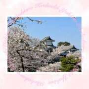 ヒメ日記 2026/04/12 20:13 投稿 ゆきの 池袋角海老