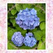 ヒメ日記 2026/06/04 11:13 投稿 ゆきの 池袋角海老